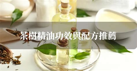 茶樹精油 寵物|茶樹精油功效與配方推薦，使用方法與禁忌事項 